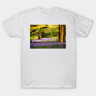 Bluebell Woods Basildon Park Reading T-Shirt